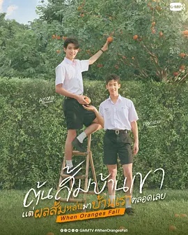 当橘子掉落时——大象席地而坐